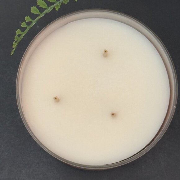 BBW Snowflakes & Cashmere White Barn Bath & Body Works 3 Wick Candle - Picture 7 of 10